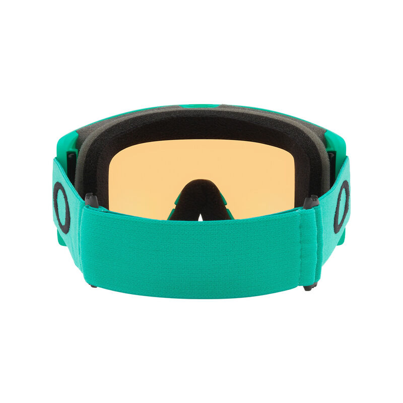 Oakley Target Line L Snow Goggle image number 40